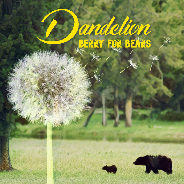 Dandelion - Berry for Bears