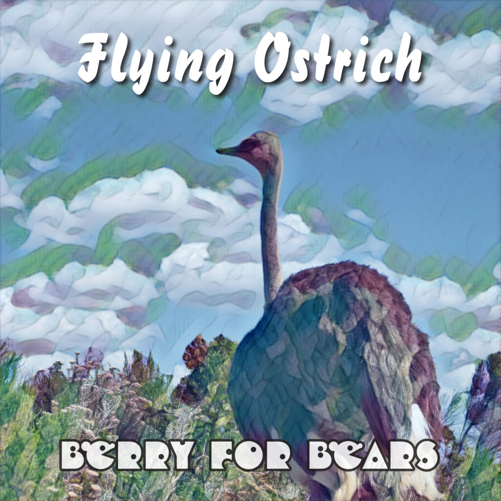 Flying Ostrich - Berry for Bears