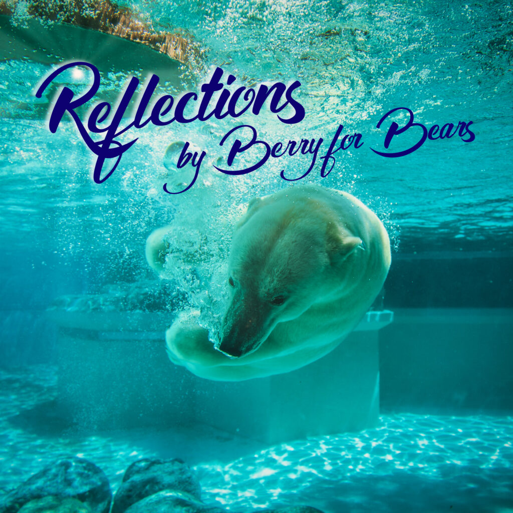 Reflections - Berry for Bears